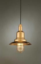 Hi-Lite MFG Co. H-1350-C-24-CLR - PENDANT COLLECTION