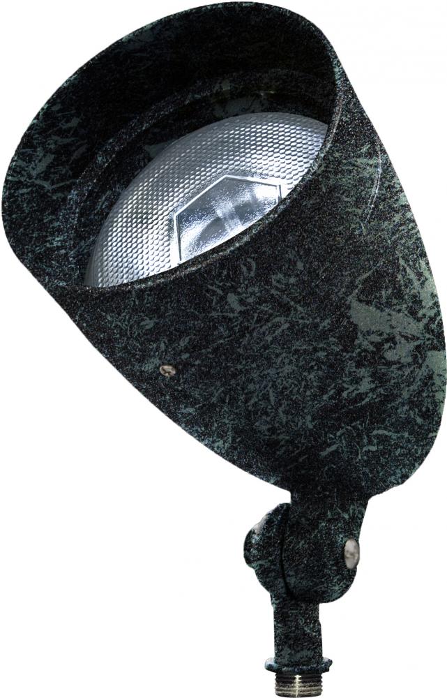 PAR38 SPOT LIGHT WITH GLASS COVER 120V
