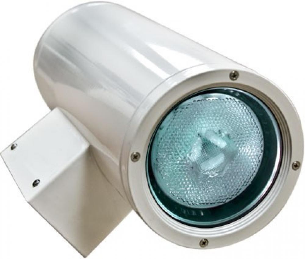 UP AND DOWN LIGHT LED 2X18W PAR38 120V
