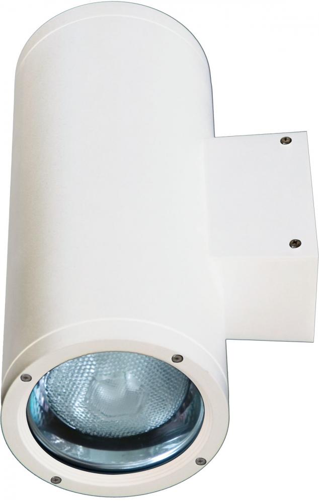 DOWN LIGHT LED 18W PAR38 120V