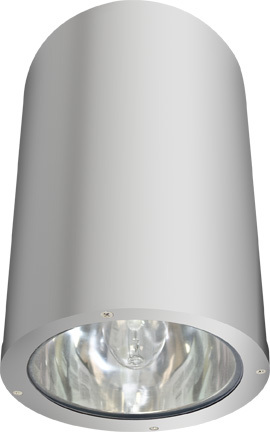 CEILING DOWN LIGHT 18W PAR38 LED COB 120-277V