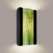 A-19 RE101-BG-MLM-WET - Meadow Wall Sconce Black Gloss and Multi Lime (Outdoor/WET Location)