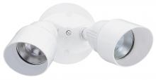 Security Lights