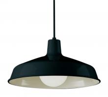 Trans Globe 1100 BK - Sherman 15.5" Pendant