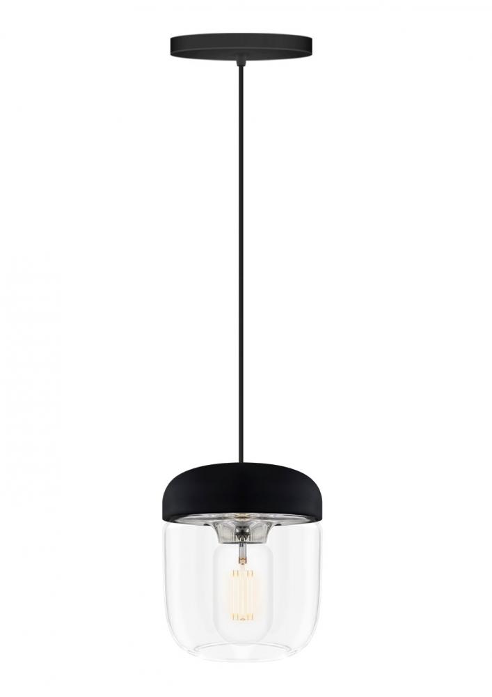 Acorn Black Hardwired Pendant with LED Bulb