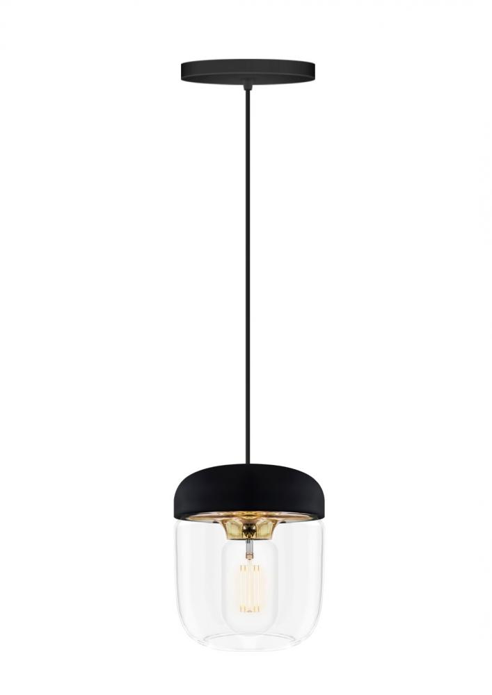 Acorn Black Hardwired Pendant with LED Bulb