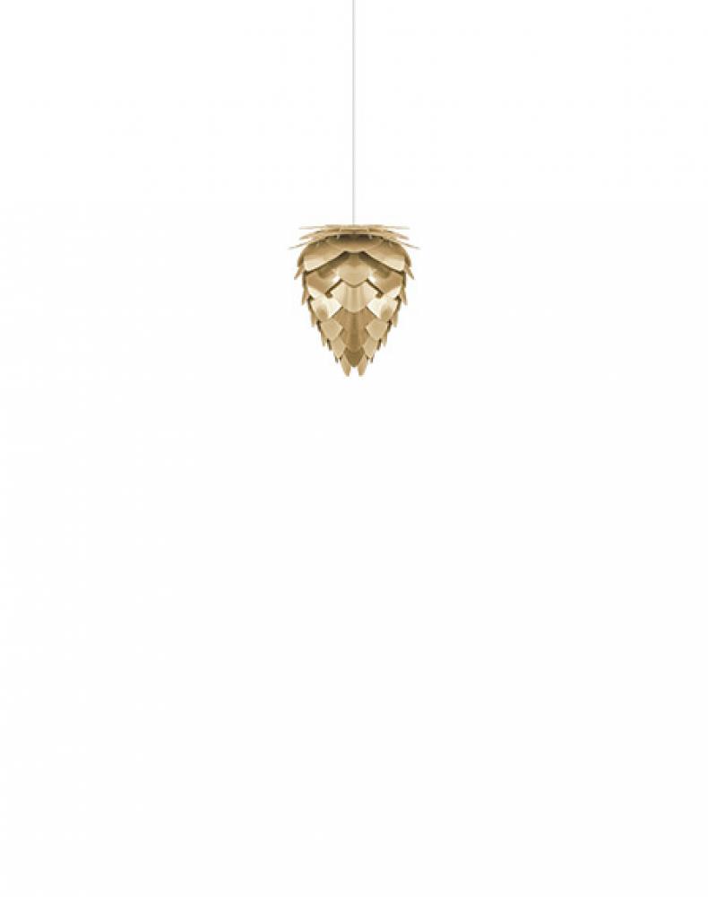 Conia Hardwired Pendant