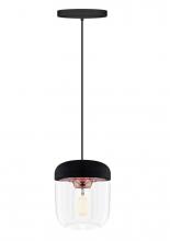 Vita Copenhagen 2083_4008_4040 - Acorn Black Hardwired Pendant with LED Bulb