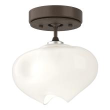 Hubbardton Forge 121372-SKT-05-05-FD0710 - Ume 1-Light Semi-Flush