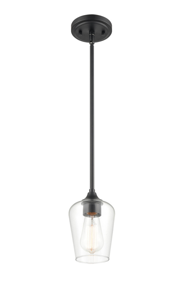 Ashford 1-Light Mini-Pendant light Matte Black