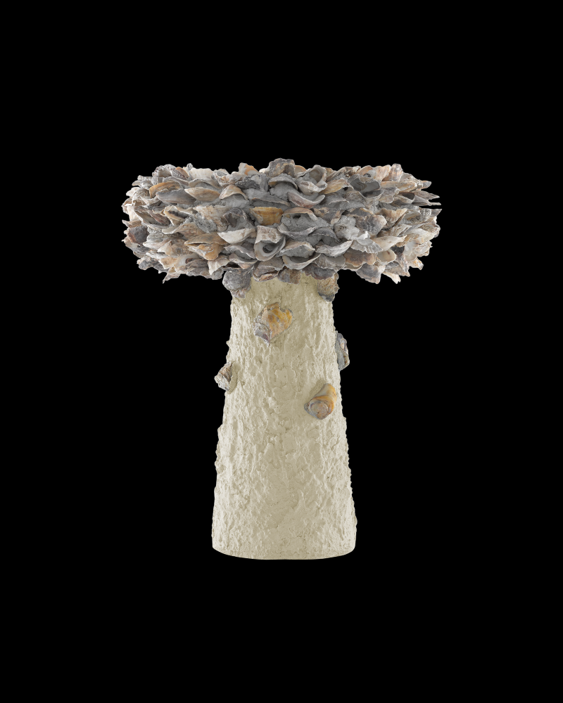 Oyster Shell Medium Bird Bath